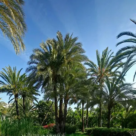 Moderno Piso De 2 Dormitorios En Playas Del Duque * Marbella
